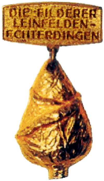 Goldener Krautkopf